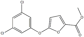 METHYL 2-(3,5-DICHLOROPHENOXY)-5-FUROATE Struktur