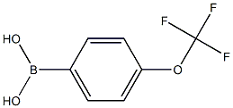 4-(TRIFLUOROMETHOXYL)PHENYLBORONIC ACID Struktur