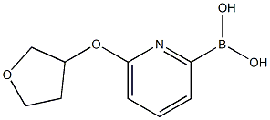 6-(TETRAHYDRO-FURAN-3-YLOXY)PYRIDINE-2-BORONIC ACID Struktur