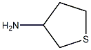 tetrahydrothiophen-3-amine Struktur