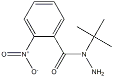 N-(tert-butyl)-2-nitrobenzenecarbohydrazide Struktur