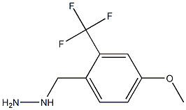 1-(2-(trifluoromethyl)-4-methoxybenzyl)hydrazine Struktur