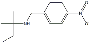 (2-methylbutan-2-yl)[(4-nitrophenyl)methyl]amine Struktur