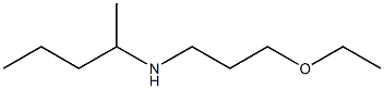 (3-ethoxypropyl)(pentan-2-yl)amine Struktur