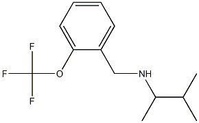 (3-methylbutan-2-yl)({[2-(trifluoromethoxy)phenyl]methyl})amine Struktur