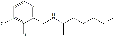 [(2,3-dichlorophenyl)methyl](6-methylheptan-2-yl)amine Struktur