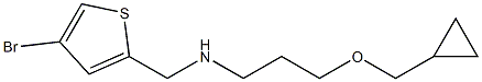 [(4-bromothiophen-2-yl)methyl][3-(cyclopropylmethoxy)propyl]amine Struktur