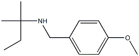 [(4-methoxyphenyl)methyl](2-methylbutan-2-yl)amine Struktur