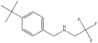 [(4-tert-butylphenyl)methyl](2,2,2-trifluoroethyl)amine Struktur