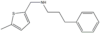 [(5-methylthiophen-2-yl)methyl](3-phenylpropyl)amine Struktur