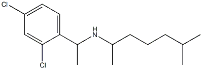 [1-(2,4-dichlorophenyl)ethyl](6-methylheptan-2-yl)amine Struktur