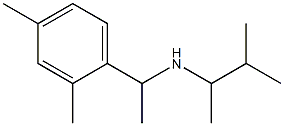 [1-(2,4-dimethylphenyl)ethyl](3-methylbutan-2-yl)amine Struktur