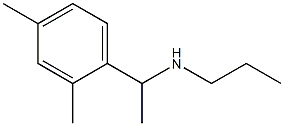 [1-(2,4-dimethylphenyl)ethyl](propyl)amine Struktur