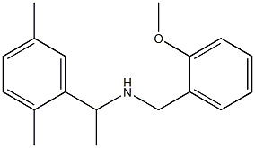 [1-(2,5-dimethylphenyl)ethyl][(2-methoxyphenyl)methyl]amine Struktur