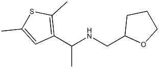 [1-(2,5-dimethylthiophen-3-yl)ethyl](oxolan-2-ylmethyl)amine Struktur