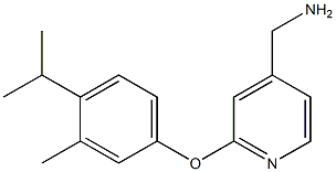 [2-(4-isopropyl-3-methylphenoxy)pyridin-4-yl]methylamine Struktur