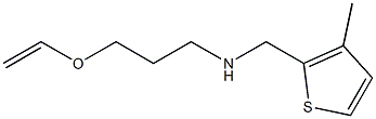 [3-(ethenyloxy)propyl][(3-methylthiophen-2-yl)methyl]amine Struktur