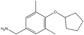 [4-(cyclopentyloxy)-3,5-dimethylphenyl]methanamine Struktur