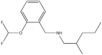 {[2-(difluoromethoxy)phenyl]methyl}(2-methylpentyl)amine Struktur