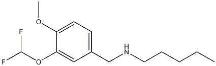 {[3-(difluoromethoxy)-4-methoxyphenyl]methyl}(pentyl)amine Struktur