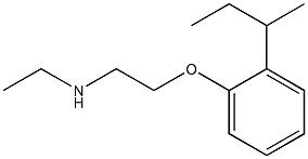 {2-[2-(butan-2-yl)phenoxy]ethyl}(ethyl)amine Struktur