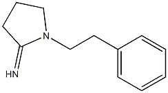 1-(2-phenylethyl)pyrrolidin-2-imine Struktur