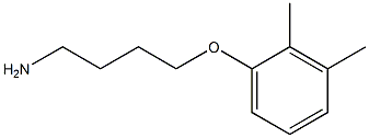 1-(4-aminobutoxy)-2,3-dimethylbenzene Struktur