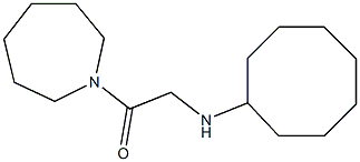 1-(azepan-1-yl)-2-(cyclooctylamino)ethan-1-one Struktur