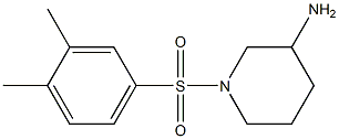 1-[(3,4-dimethylbenzene)sulfonyl]piperidin-3-amine Struktur