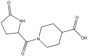 1-[(5-oxopyrrolidin-2-yl)carbonyl]piperidine-4-carboxylic acid Struktur