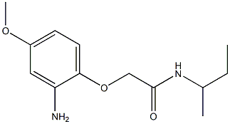 2-(2-amino-4-methoxyphenoxy)-N-(sec-butyl)acetamide Struktur