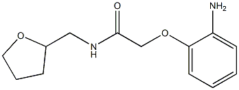 2-(2-aminophenoxy)-N-(tetrahydrofuran-2-ylmethyl)acetamide Struktur