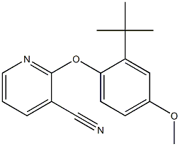 2-(2-tert-butyl-4-methoxyphenoxy)pyridine-3-carbonitrile Struktur