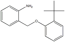 2-(2-tert-butylphenoxymethyl)aniline Struktur