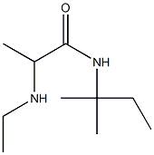 2-(ethylamino)-N-(2-methylbutan-2-yl)propanamide Struktur