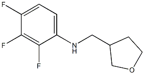 2,3,4-trifluoro-N-(oxolan-3-ylmethyl)aniline Struktur