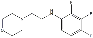 2,3,4-trifluoro-N-[2-(morpholin-4-yl)ethyl]aniline Struktur