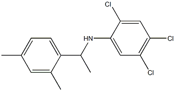 2,4,5-trichloro-N-[1-(2,4-dimethylphenyl)ethyl]aniline Struktur