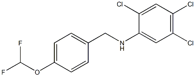 2,4,5-trichloro-N-{[4-(difluoromethoxy)phenyl]methyl}aniline Struktur