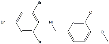 2,4,6-tribromo-N-[(3,4-dimethoxyphenyl)methyl]aniline Struktur