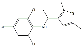 2,4,6-trichloro-N-[1-(2,5-dimethylthiophen-3-yl)ethyl]aniline Struktur