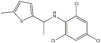 2,4,6-trichloro-N-[1-(5-methylthiophen-2-yl)ethyl]aniline Struktur