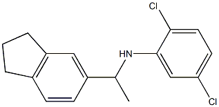 2,5-dichloro-N-[1-(2,3-dihydro-1H-inden-5-yl)ethyl]aniline Struktur