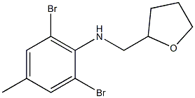 2,6-dibromo-4-methyl-N-(oxolan-2-ylmethyl)aniline Struktur