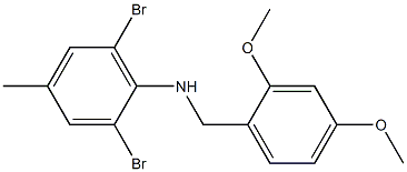 2,6-dibromo-N-[(2,4-dimethoxyphenyl)methyl]-4-methylaniline Struktur