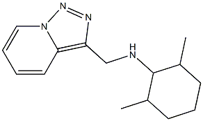 2,6-dimethyl-N-{[1,2,4]triazolo[3,4-a]pyridin-3-ylmethyl}cyclohexan-1-amine Struktur