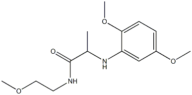 2-[(2,5-dimethoxyphenyl)amino]-N-(2-methoxyethyl)propanamide Struktur