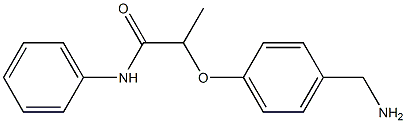 2-[4-(aminomethyl)phenoxy]-N-phenylpropanamide Struktur