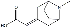 2-{8-methyl-8-azabicyclo[3.2.1]octan-3-ylidene}acetic acid Struktur