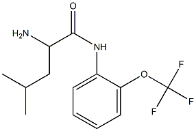 2-amino-4-methyl-N-[2-(trifluoromethoxy)phenyl]pentanamide Struktur